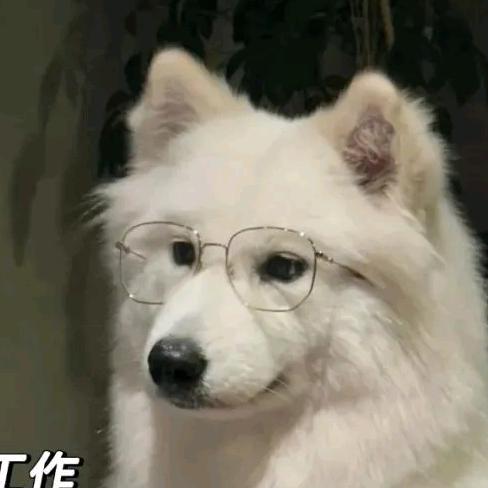 不爱说话的王想想