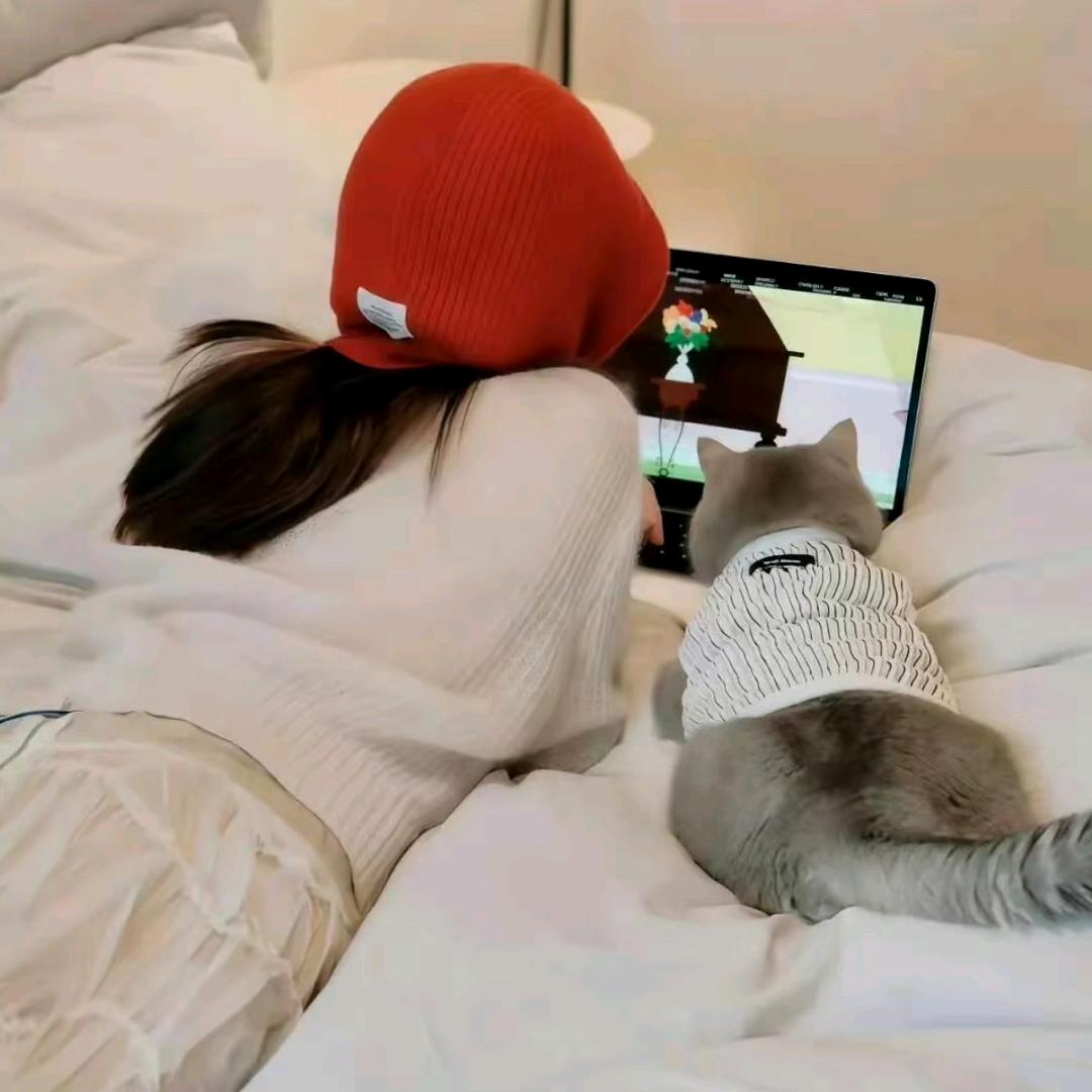 冷雪💤