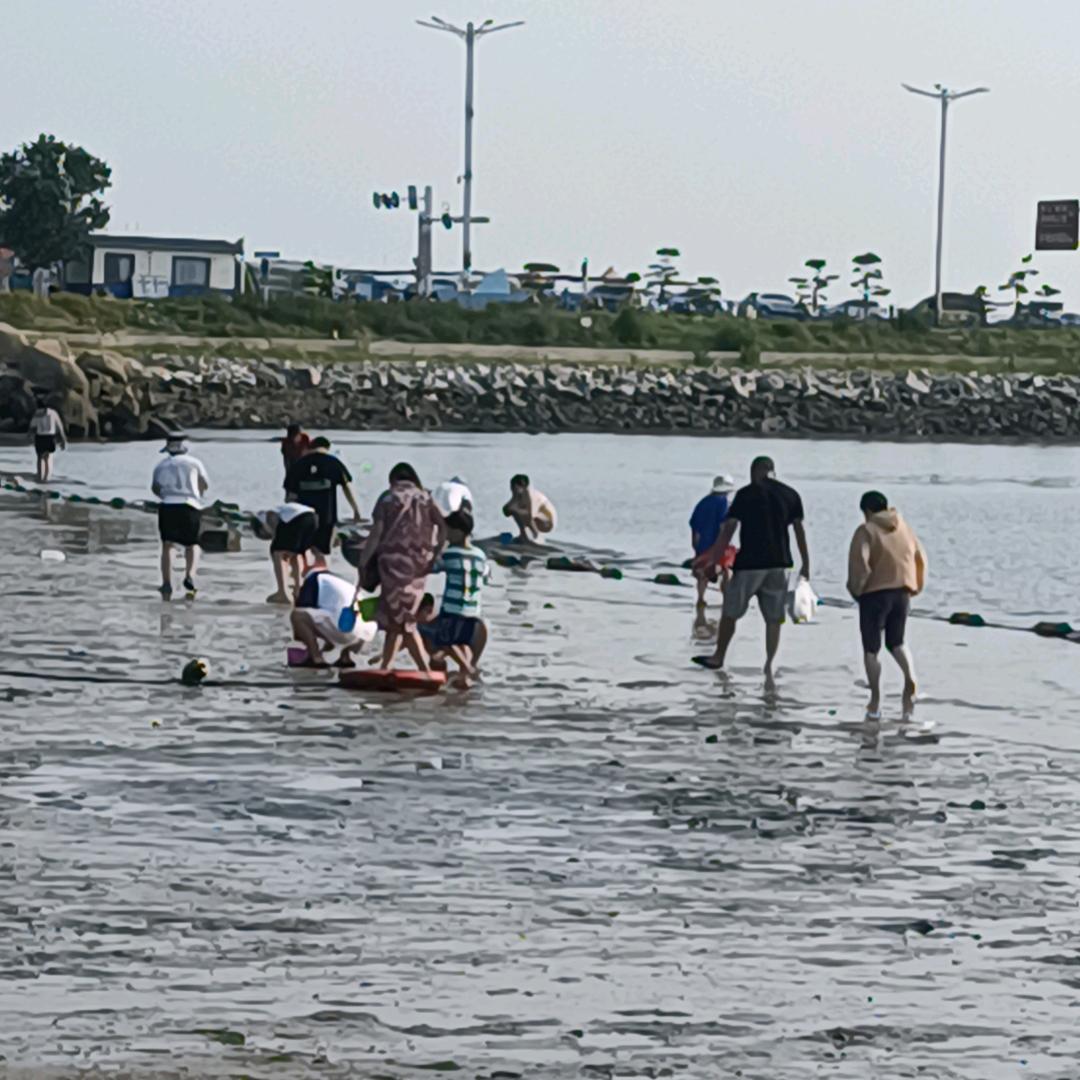 我在海边等你来