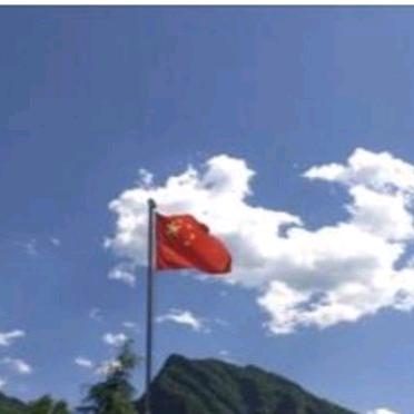 笨者