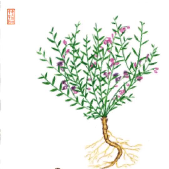 🐉言语辞行🌲