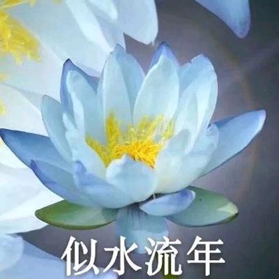 影姐