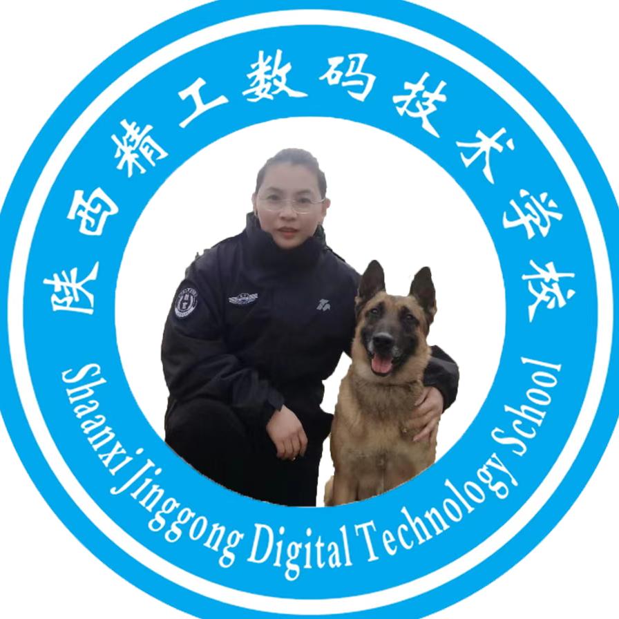 低分段升学规划于老师