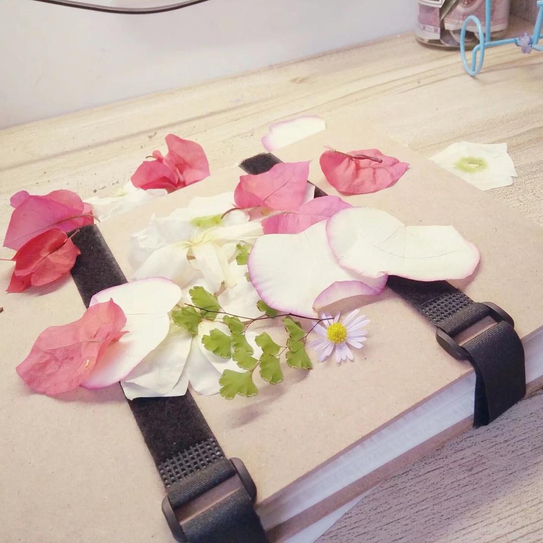 温一瓣月亮（不要关注了😭）