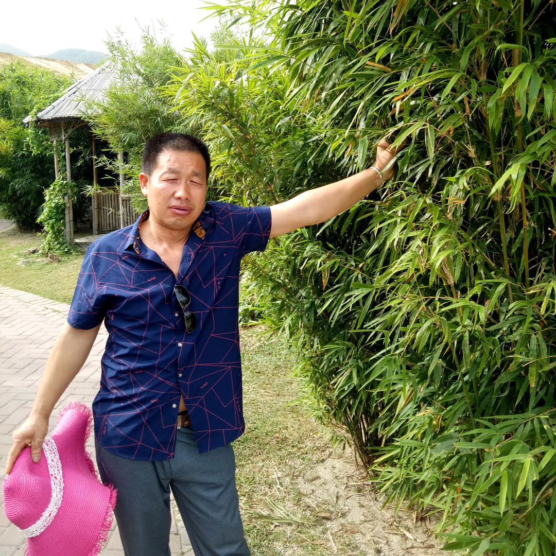 灿烂的阳光ㅤ