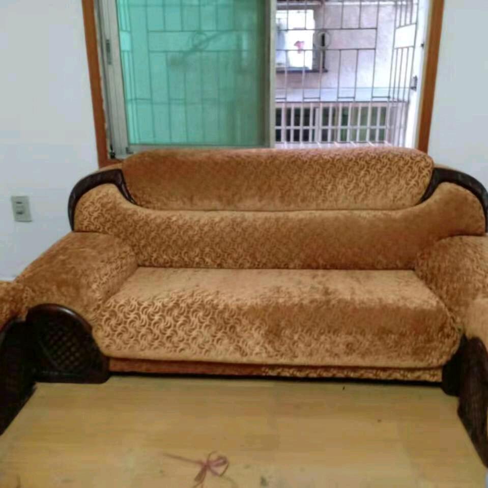 会飞的鱼.、