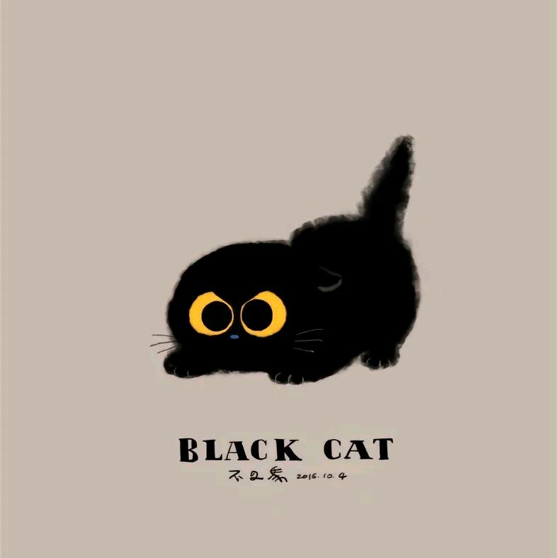 房东的猫叫小黑
