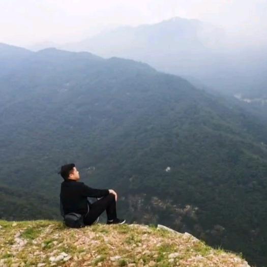 📷睡不着觉想拍照