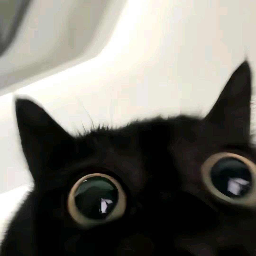 轻 慕ـ