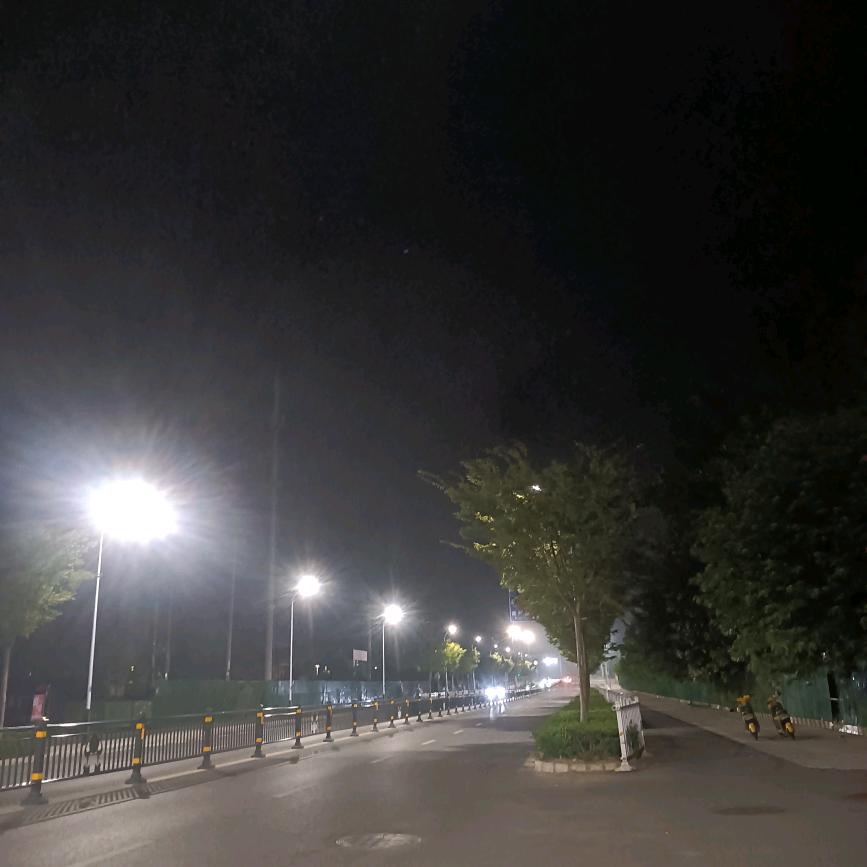 王家小美丽