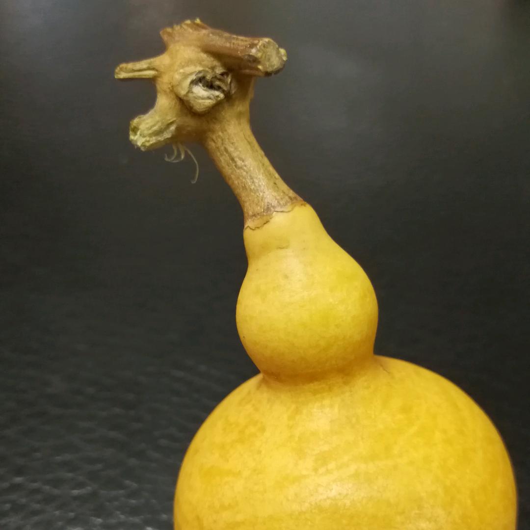 不孬