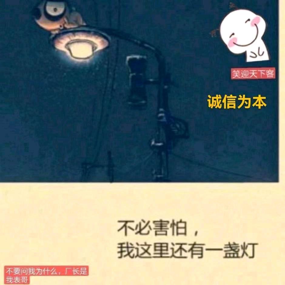 桥西区迈上灯具店（厂长是我表锅）