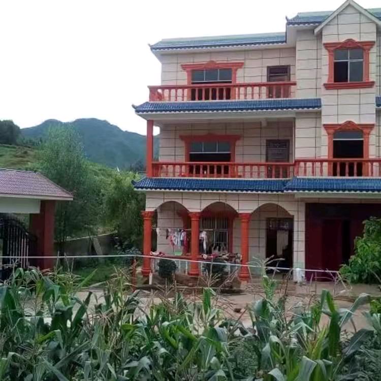 追求梦想