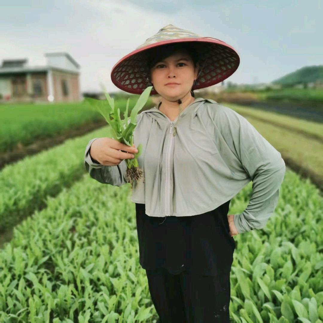 农家苗园林