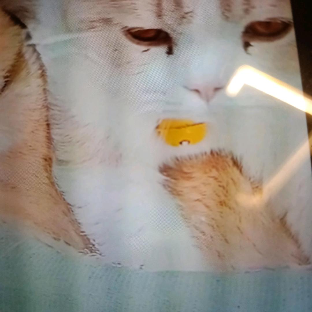 姐姐