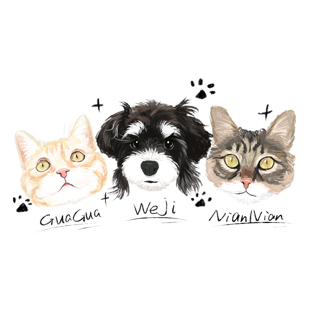 维基小宝🐾