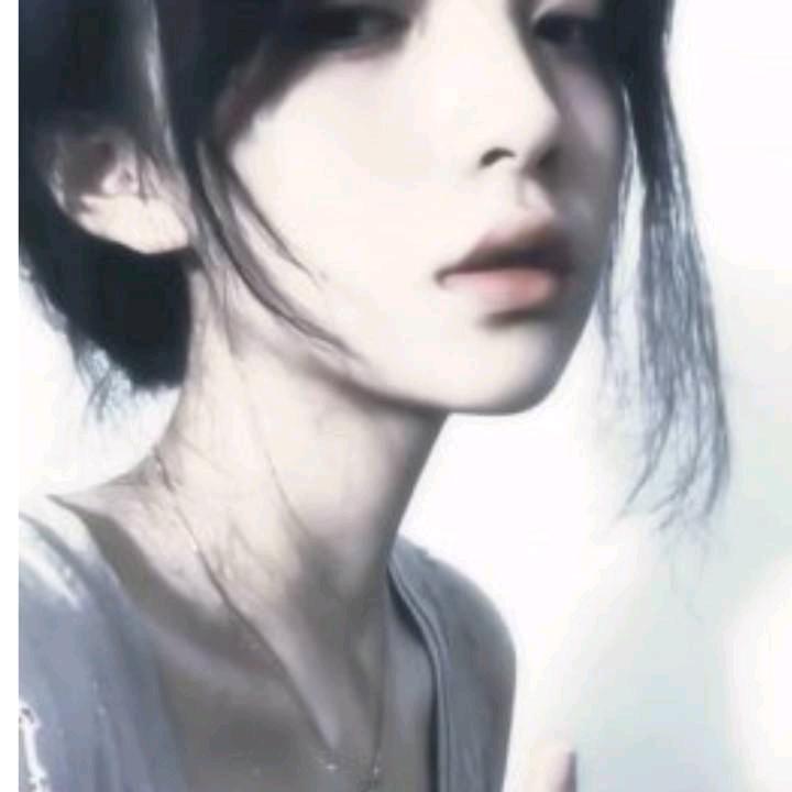 蛇鞭菊