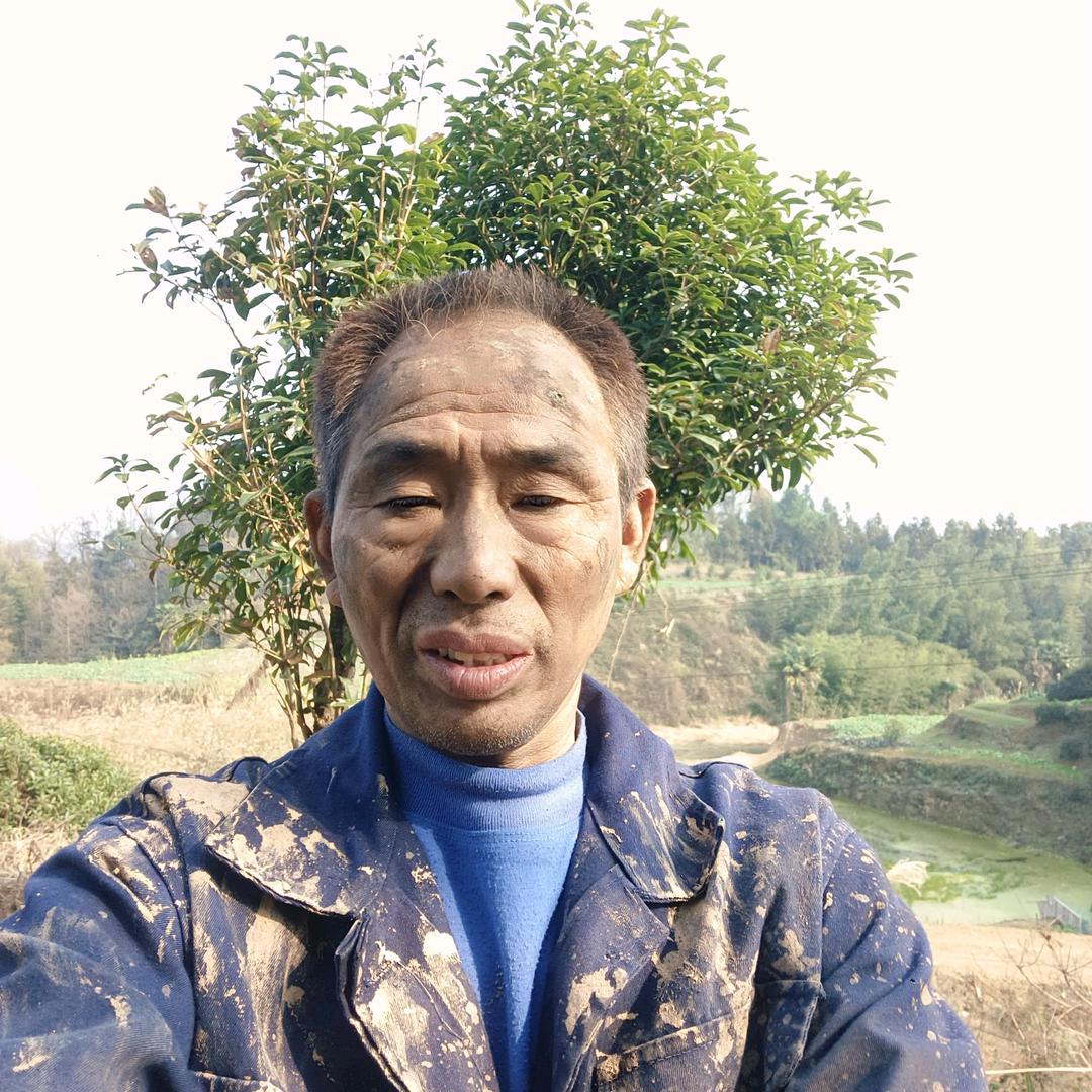 燕帅哥