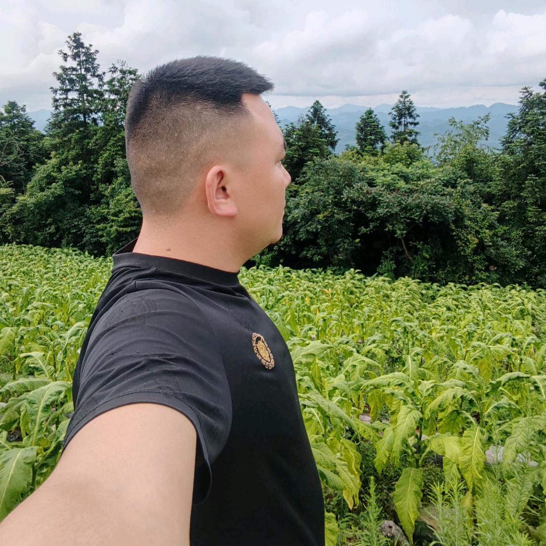 笑看風雲