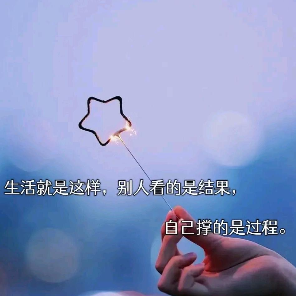 维提岛