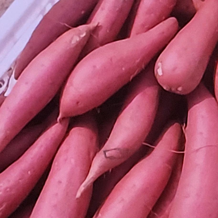天下大志