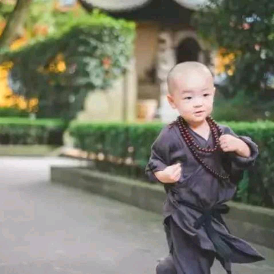 龙