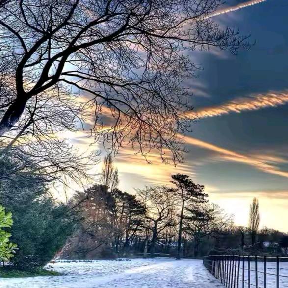 沉默是金（首播）