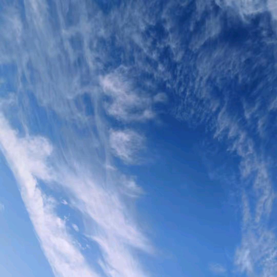 好卖好买生鲜专营店