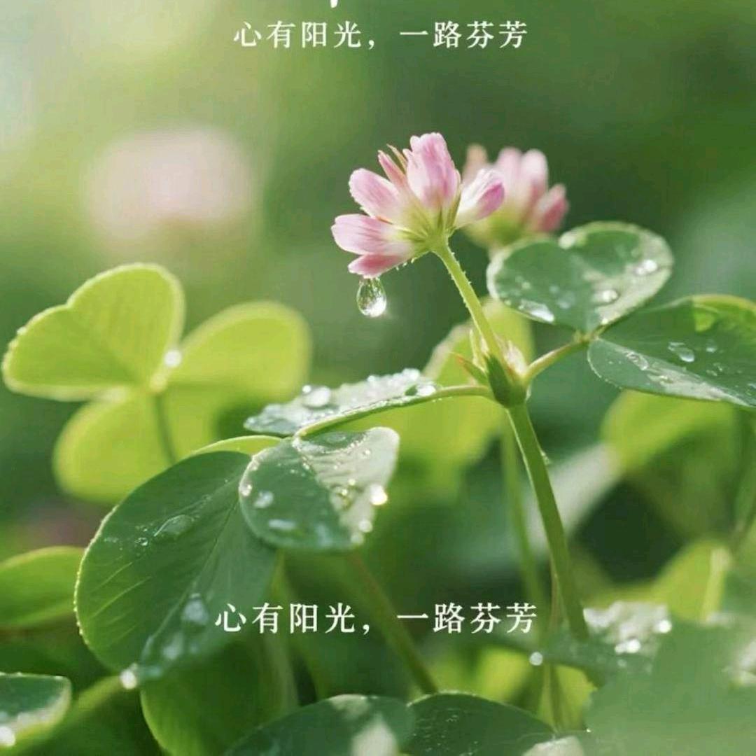 朵朵 钩织