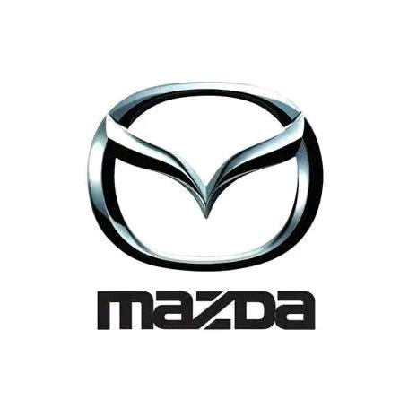 东子SKS的小店技术支持