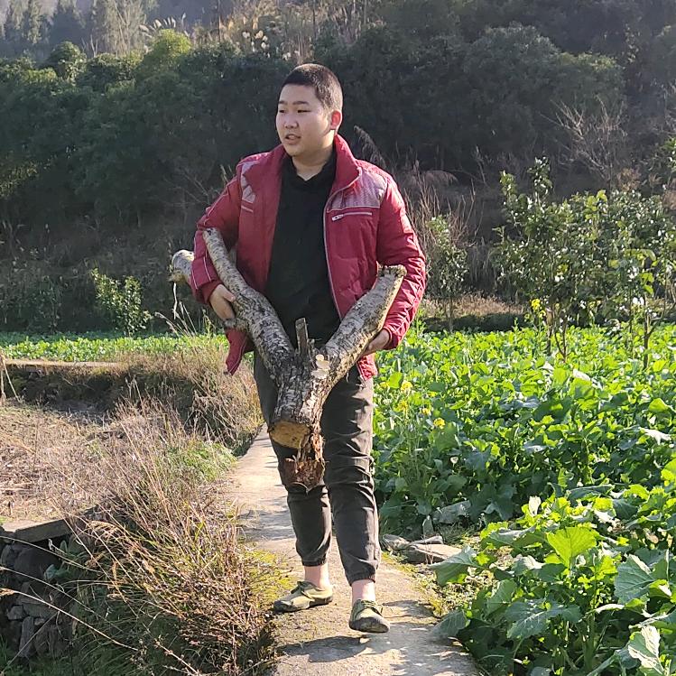 油巴巴