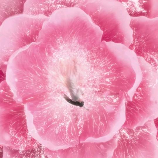 😘有你真好😘~拒绝私聊～