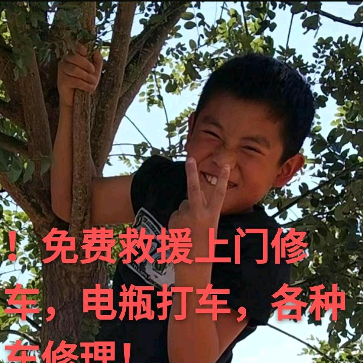 白天收车晚上算卦