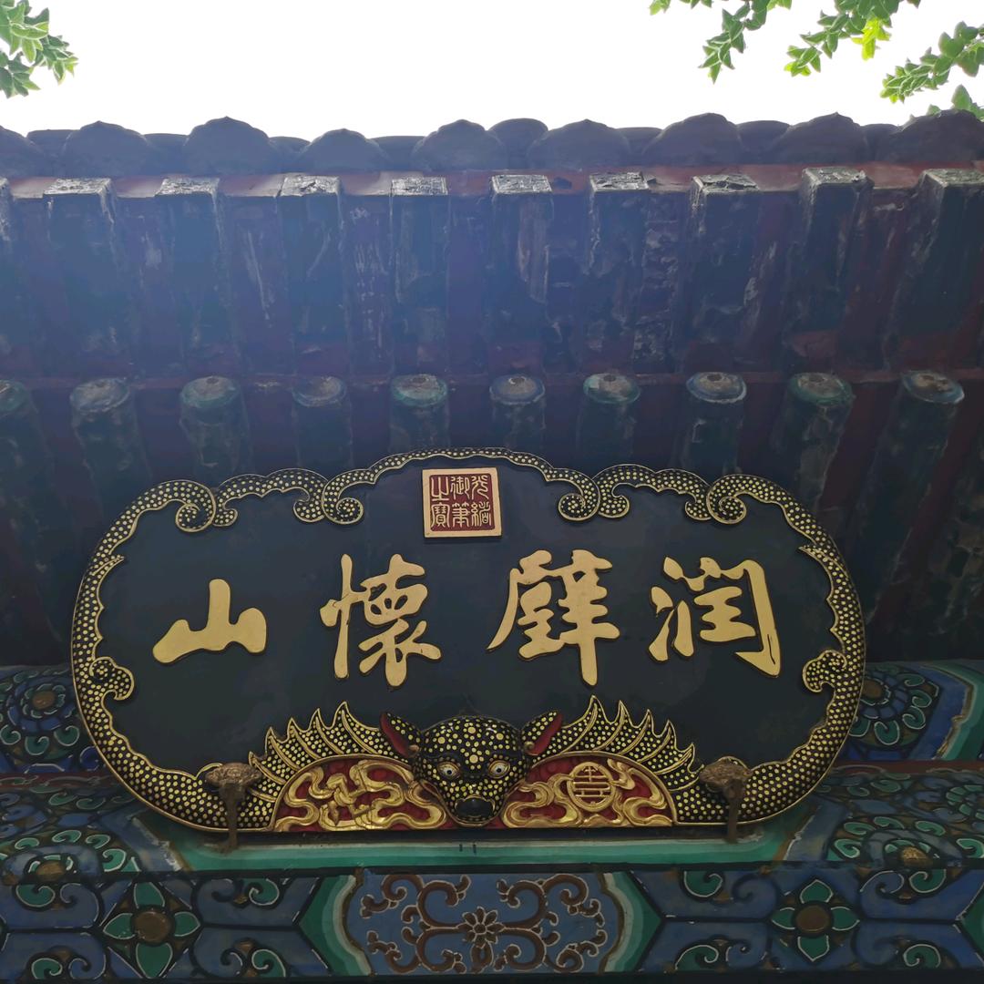 鱼🐠