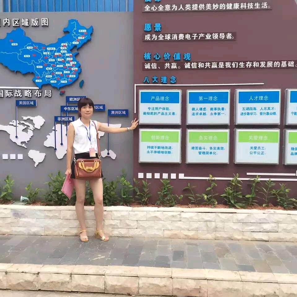 罗记家电金利来店燕子