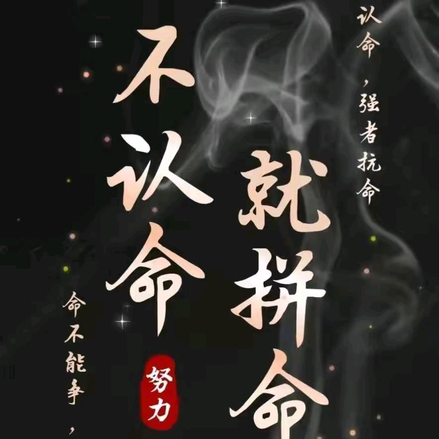 搬砖哥