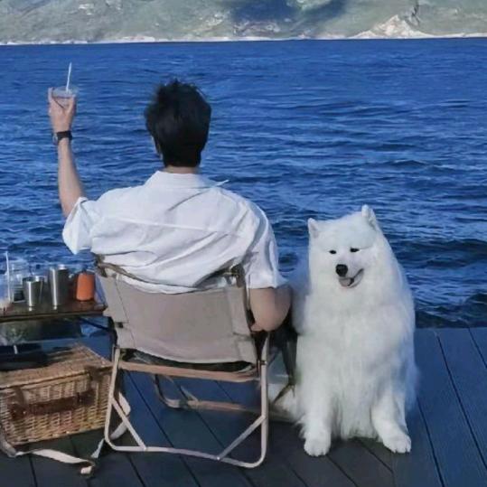 石沉大海