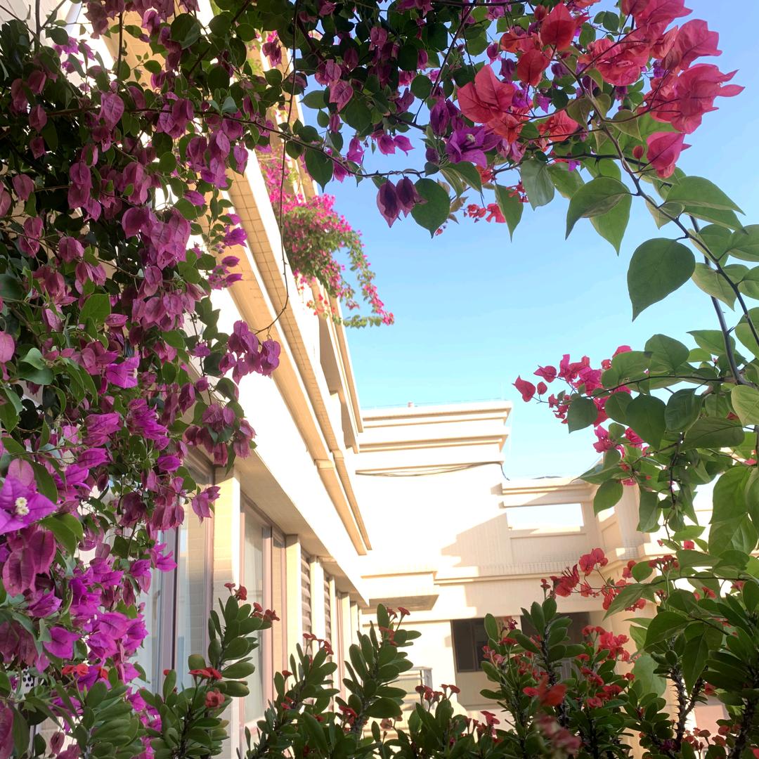 孙火锅的点点滴滴