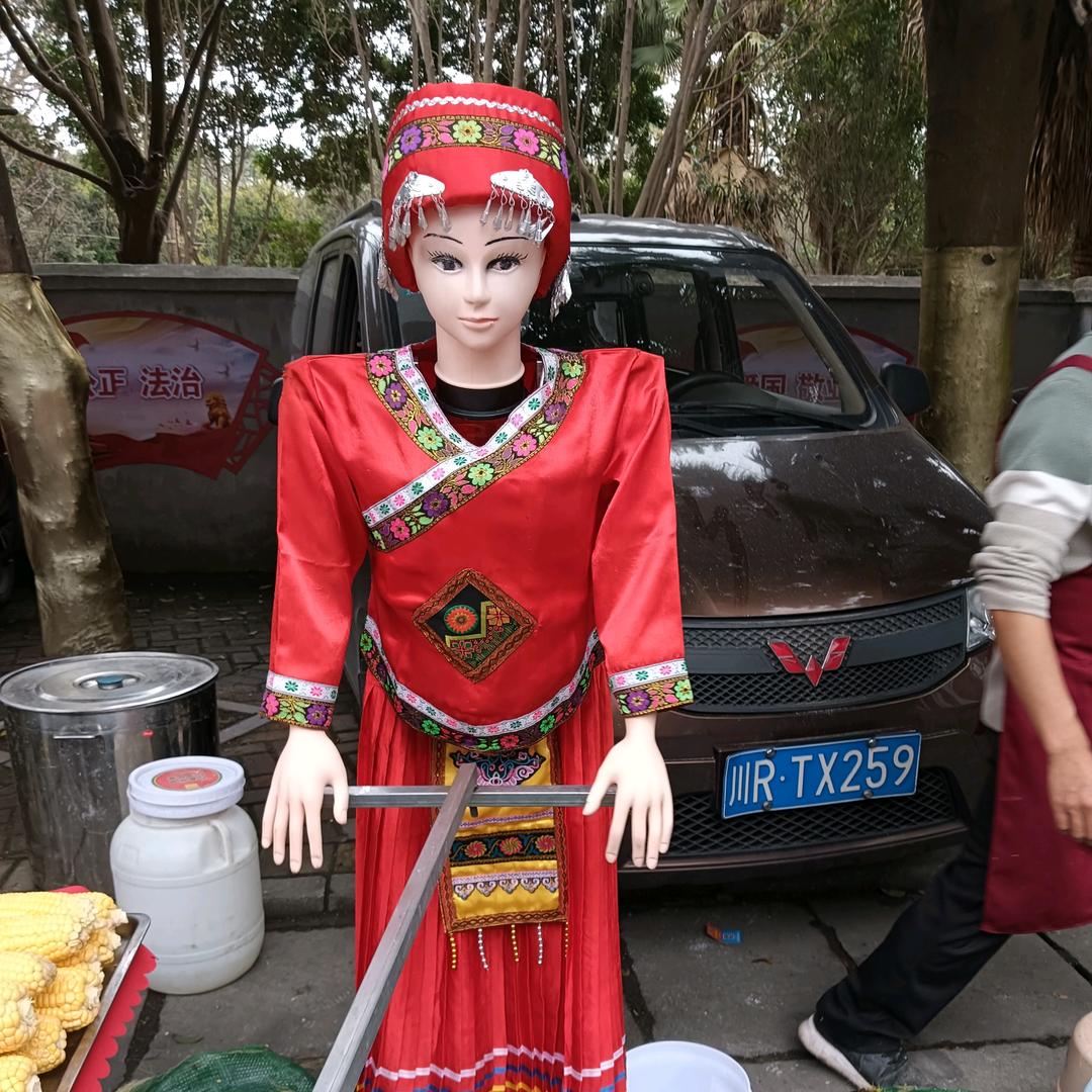 杨姐