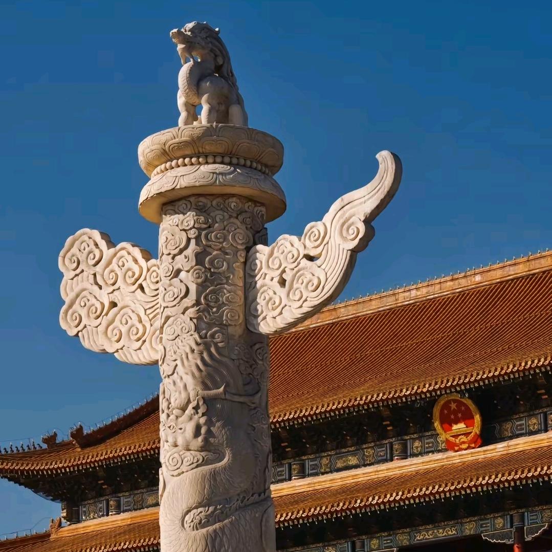 降龙伏虎拿命来赌。