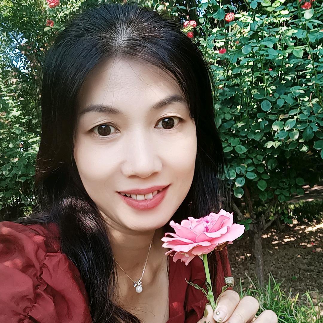 百灵鸟