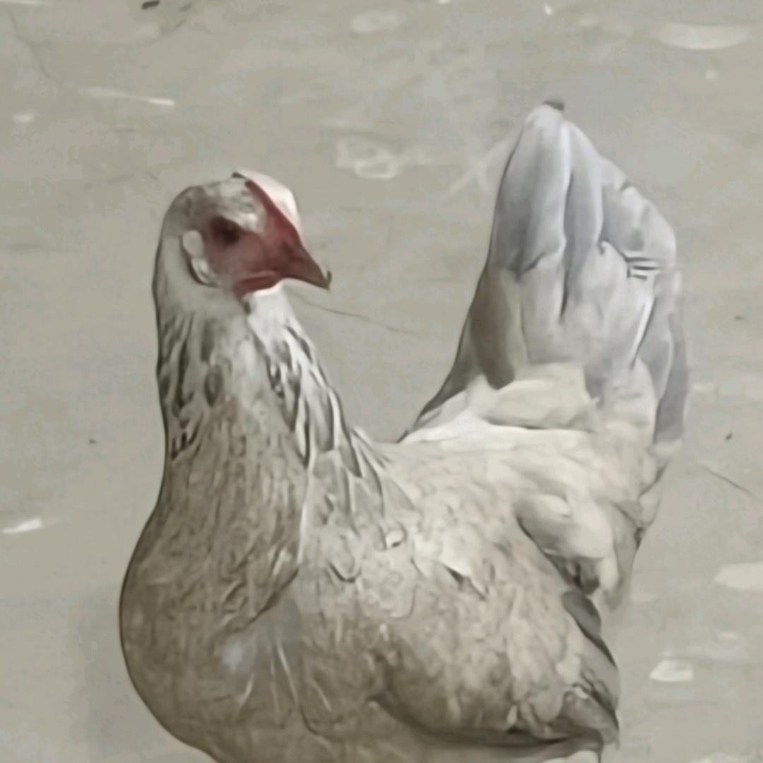 意醇臻选坊