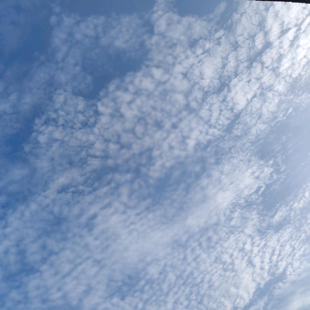 ོꦿ༉☞  清零☜：᭄ꦿ