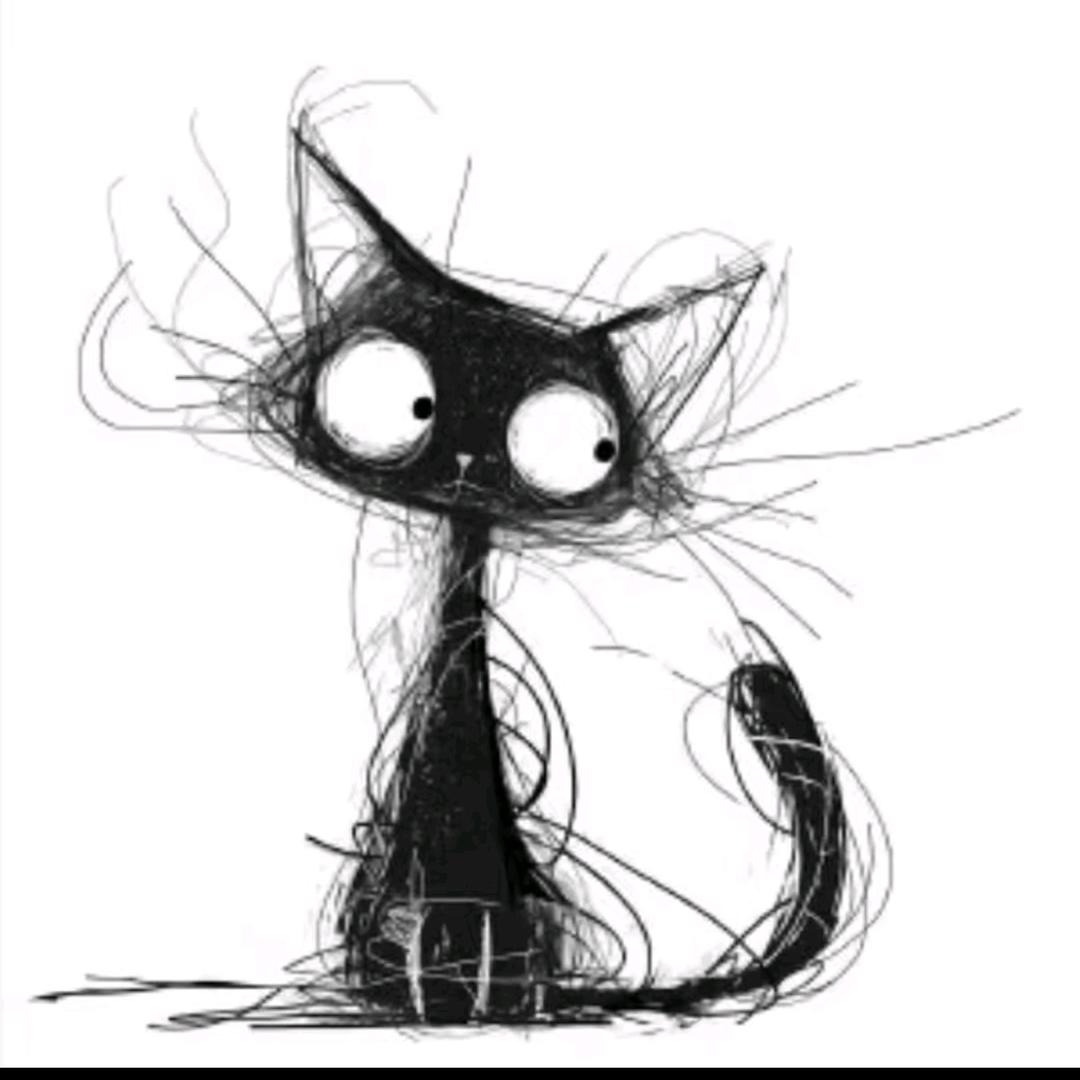 葫鲁糊涂～跳跳糖的头像