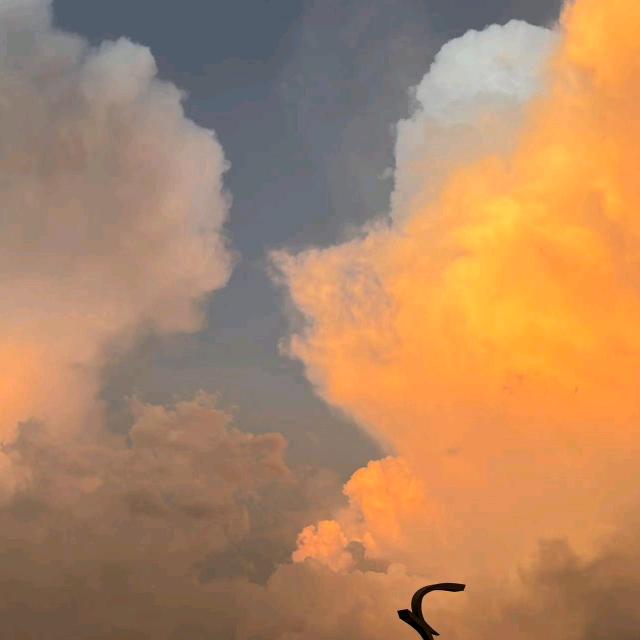 小小怪下士    .