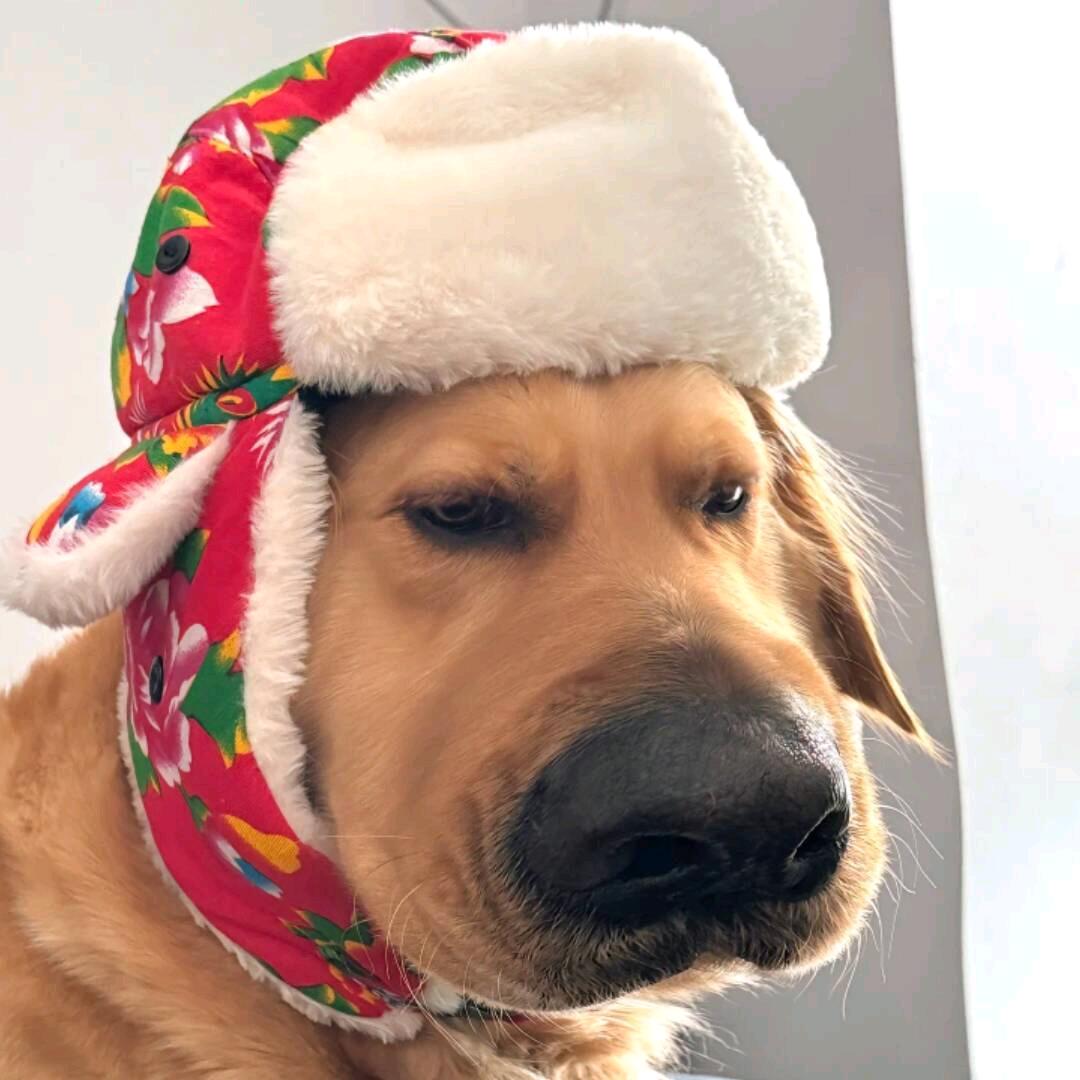 爱玩游戏的小李