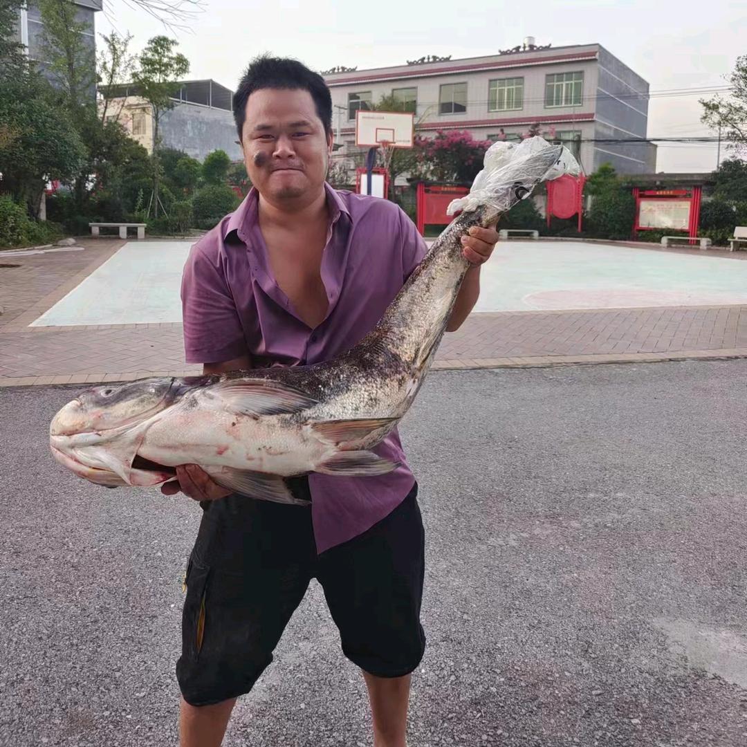 小胖钓大鱼（老铁）