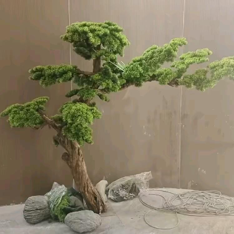 一只生爱你54276