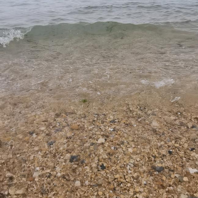 陆海通