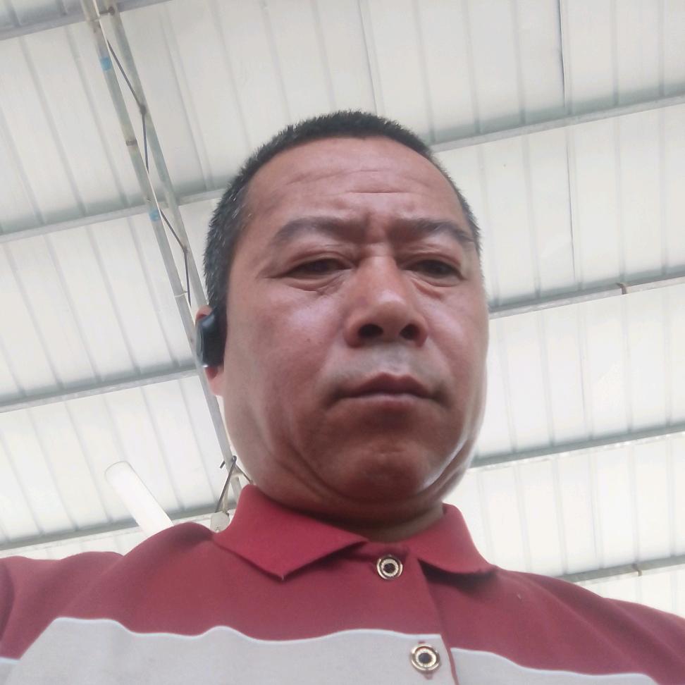 金龙